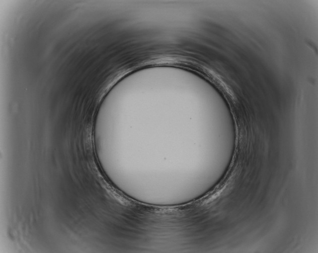 X0000097511417200802220854