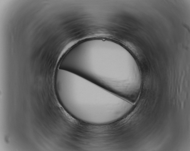 X0000097511420200802220854