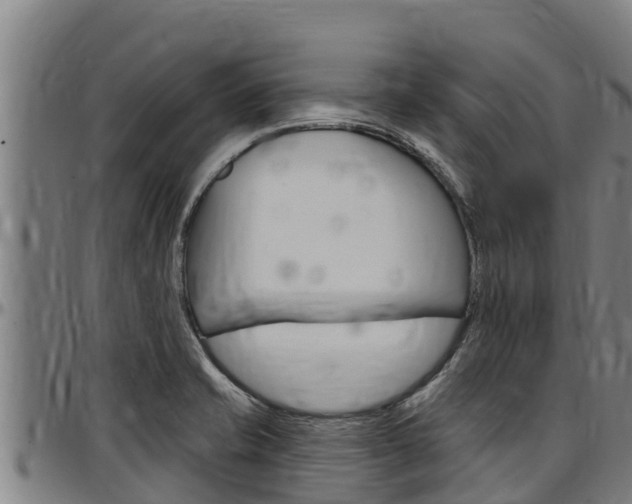 X0000097511421200802220854