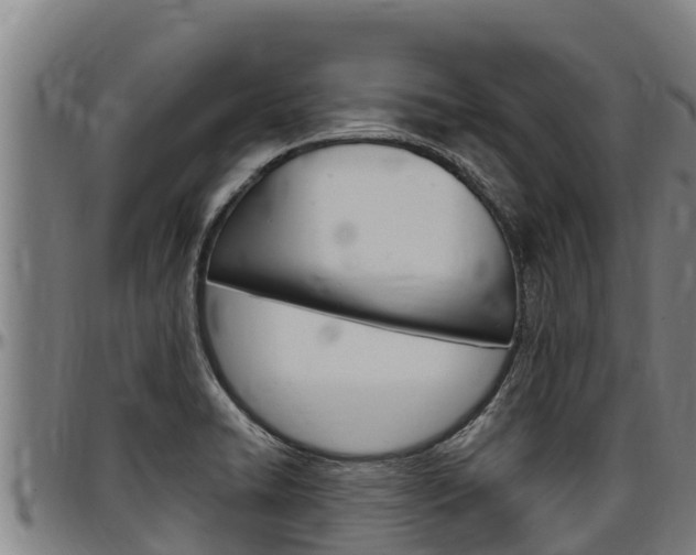X0000097511422200802220854