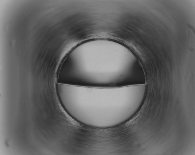 X0000097511424200802220854
