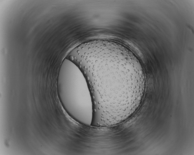 X0000097511425200802220854