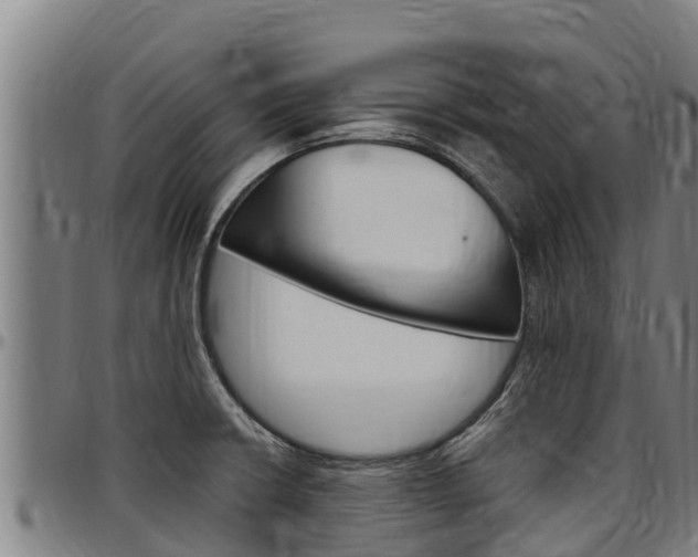 X0000097511426200802220854