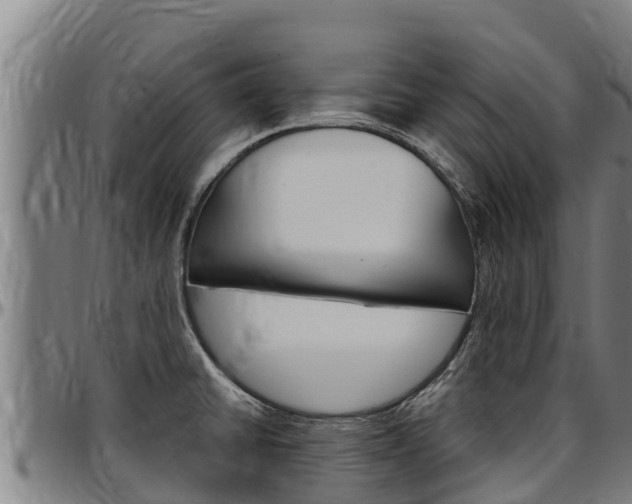 X0000097511430200802220854