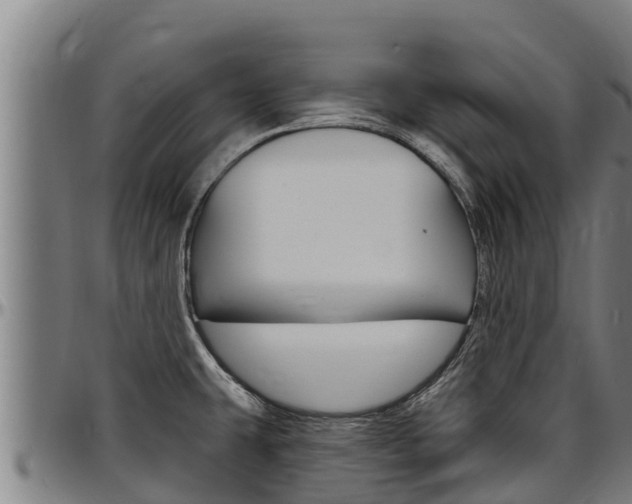 X0000097511431200802220854