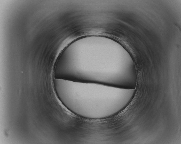 X0000097511432200802220854