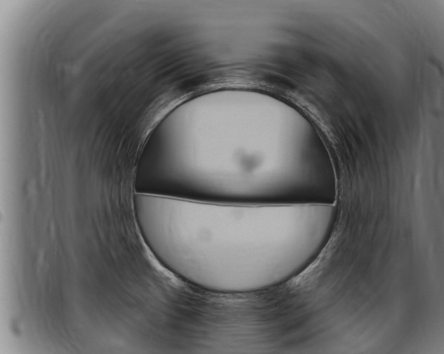 X0000097511433200802220855