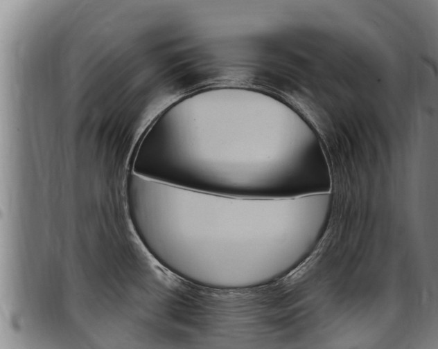 X0000097511434200802220855