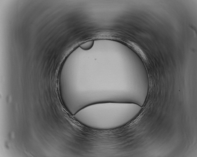 X0000097511435200802220855