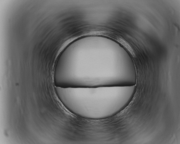 X0000097511436200802220855