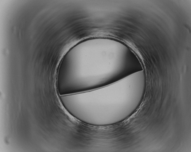 X0000097511437200802220855