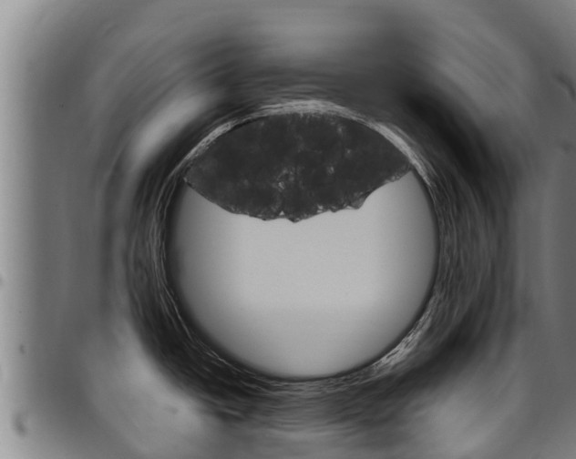 X0000097511438200802220855