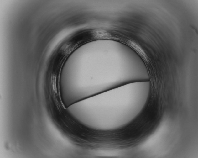 X0000097511439200802220855