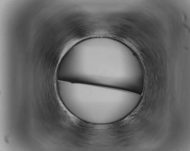 X0000097511440200802220855