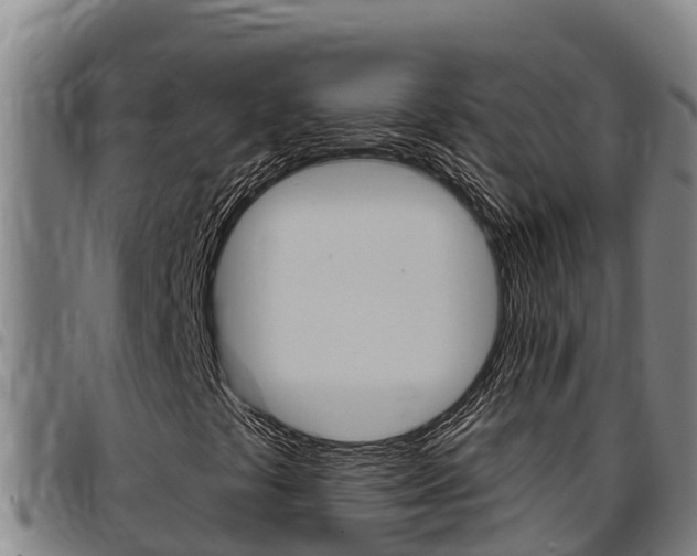 X0000097511441200802220854