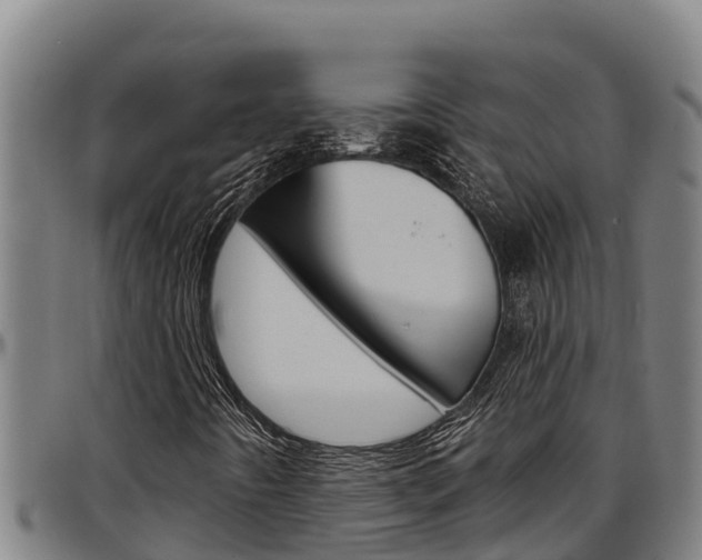 X0000097511442200802220854