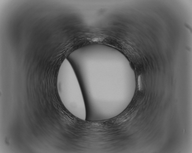 X0000097511443200802220854
