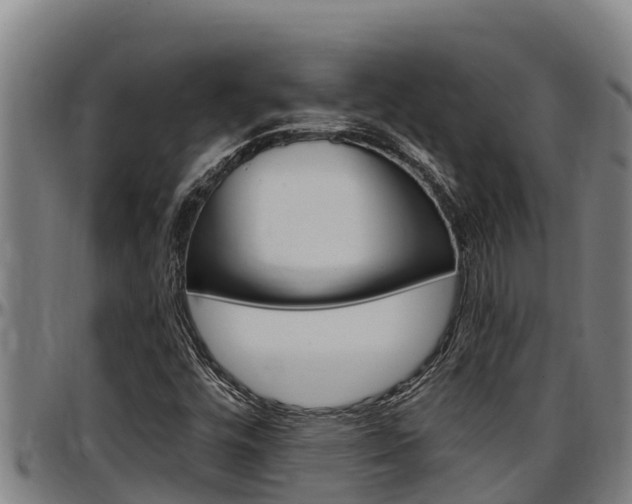 X0000097511448200802220854