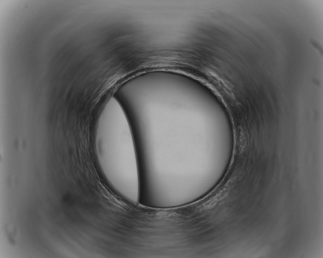 X0000097511449200802220854