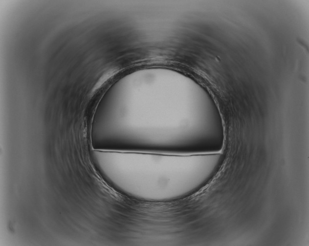 X0000097511450200802220854