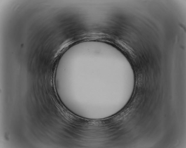 X0000097511451200802220854