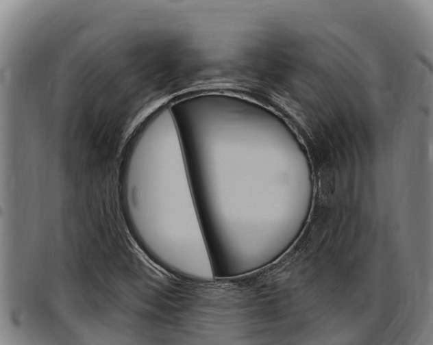 X0000097511452200802220854