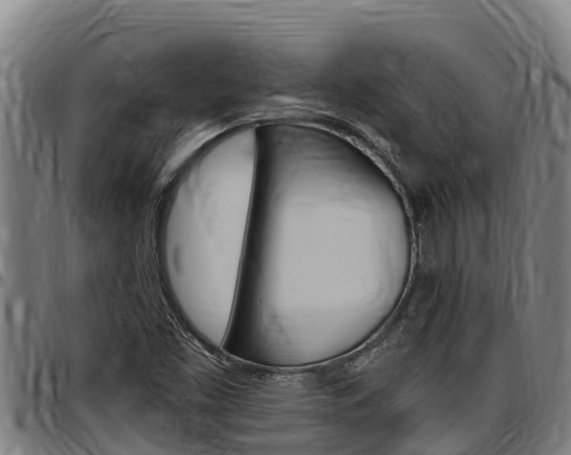 X0000097511453200802220854