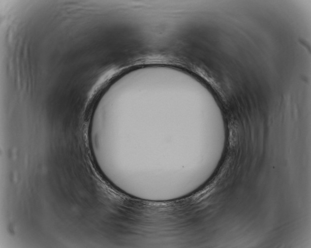 X0000097511454200802220854