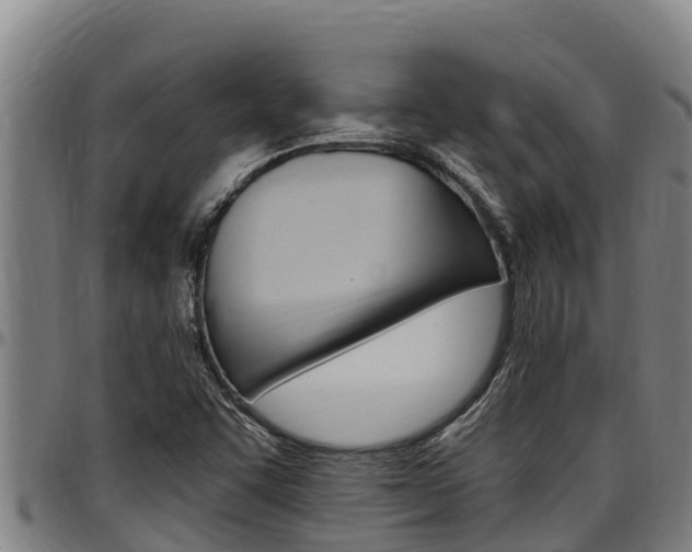 X0000097511455200802220854