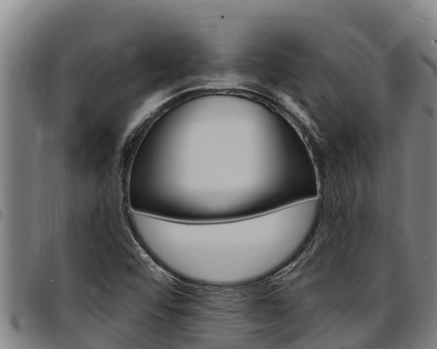 X0000097511456200802220854