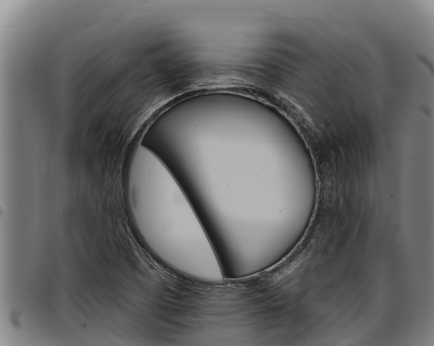 X0000097511457200802220854