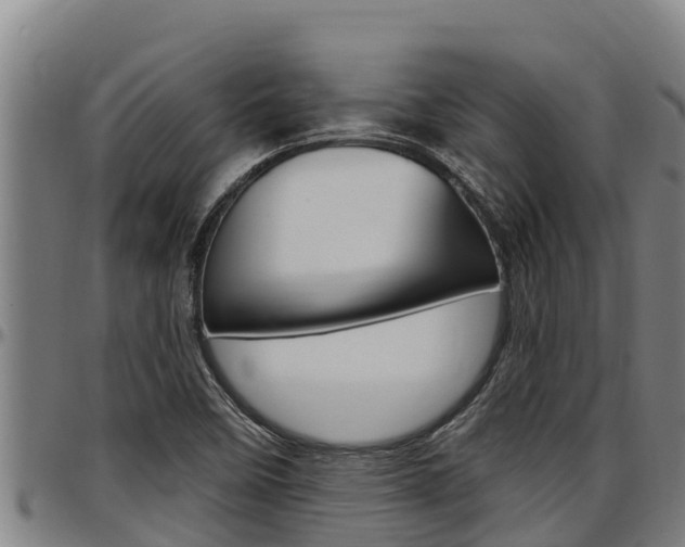 X0000097511458200802220854