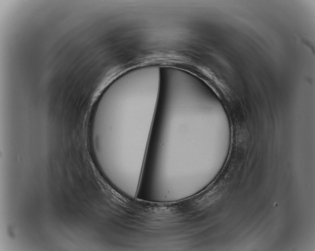 X0000097511459200802220854