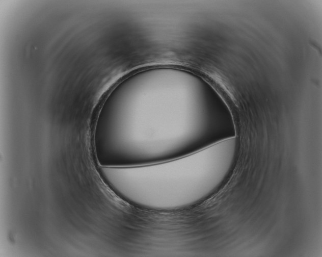 X0000097511460200802220854
