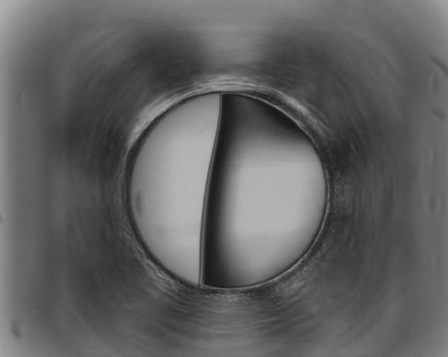 X0000097511461200802220854