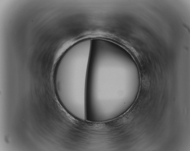 X0000097511464200802220853