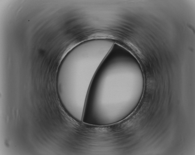 X0000097511465200802220853