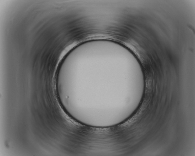 X0000097511466200802220853