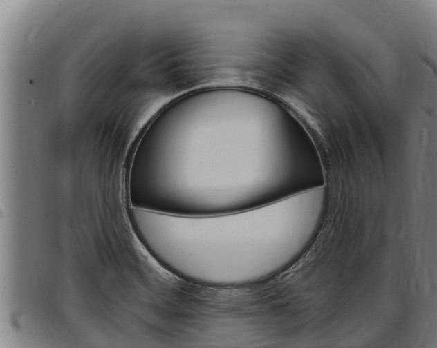 X0000097511468200802220853