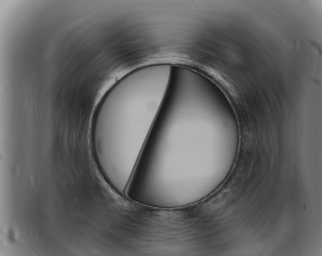 X0000097511469200802220853