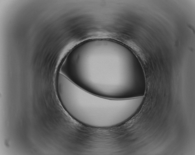 X0000097511472200802220853