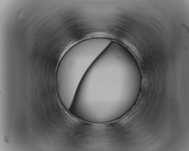 X0000097511473200802220853