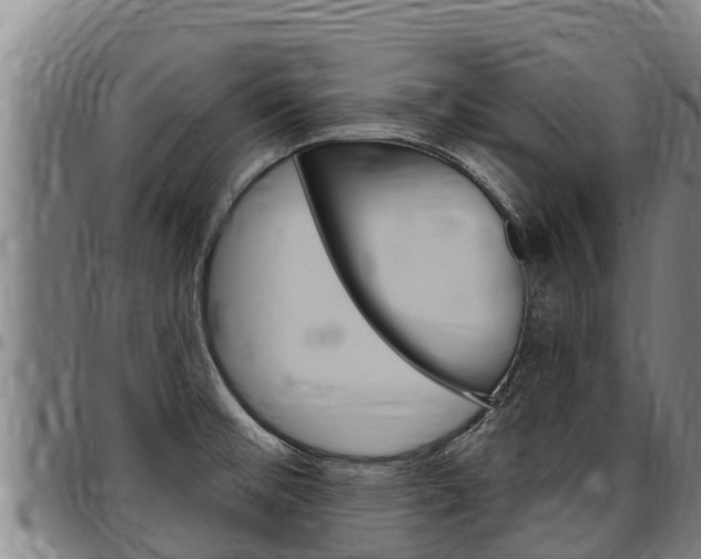 X0000097511476200802220853