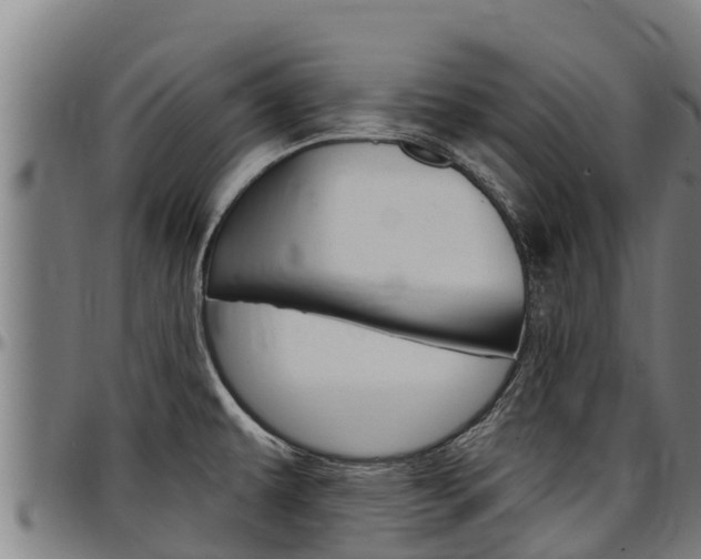 X0000097511479200802220853