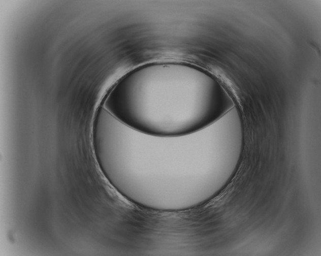 X0000097511480200802220853