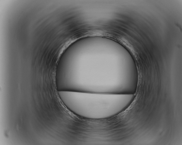 X0000097511481200802220853