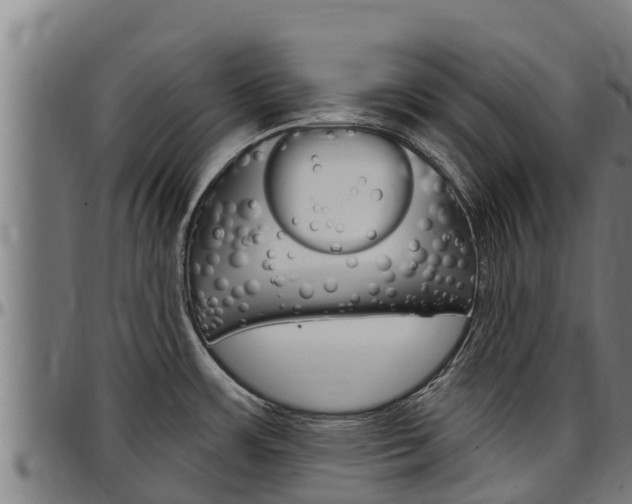X0000097511483200802220853