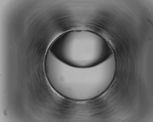 X0000097511484200802220853