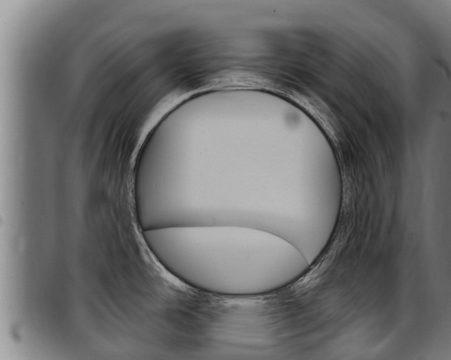 X0000097511486200802220853
