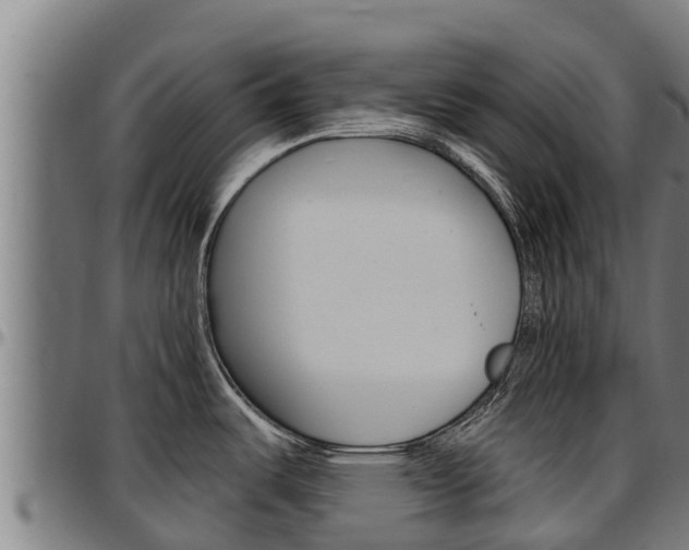 X0000097511487200802220853